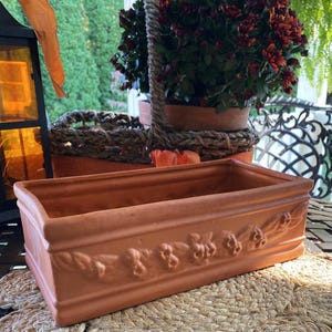 May include: A rectangular terracotta planter featuring a raised relief pattern of swags and berries along the front side. The planter has a smooth, matte finish and a simple, clean-lined rim, providing a sturdy container for plants.