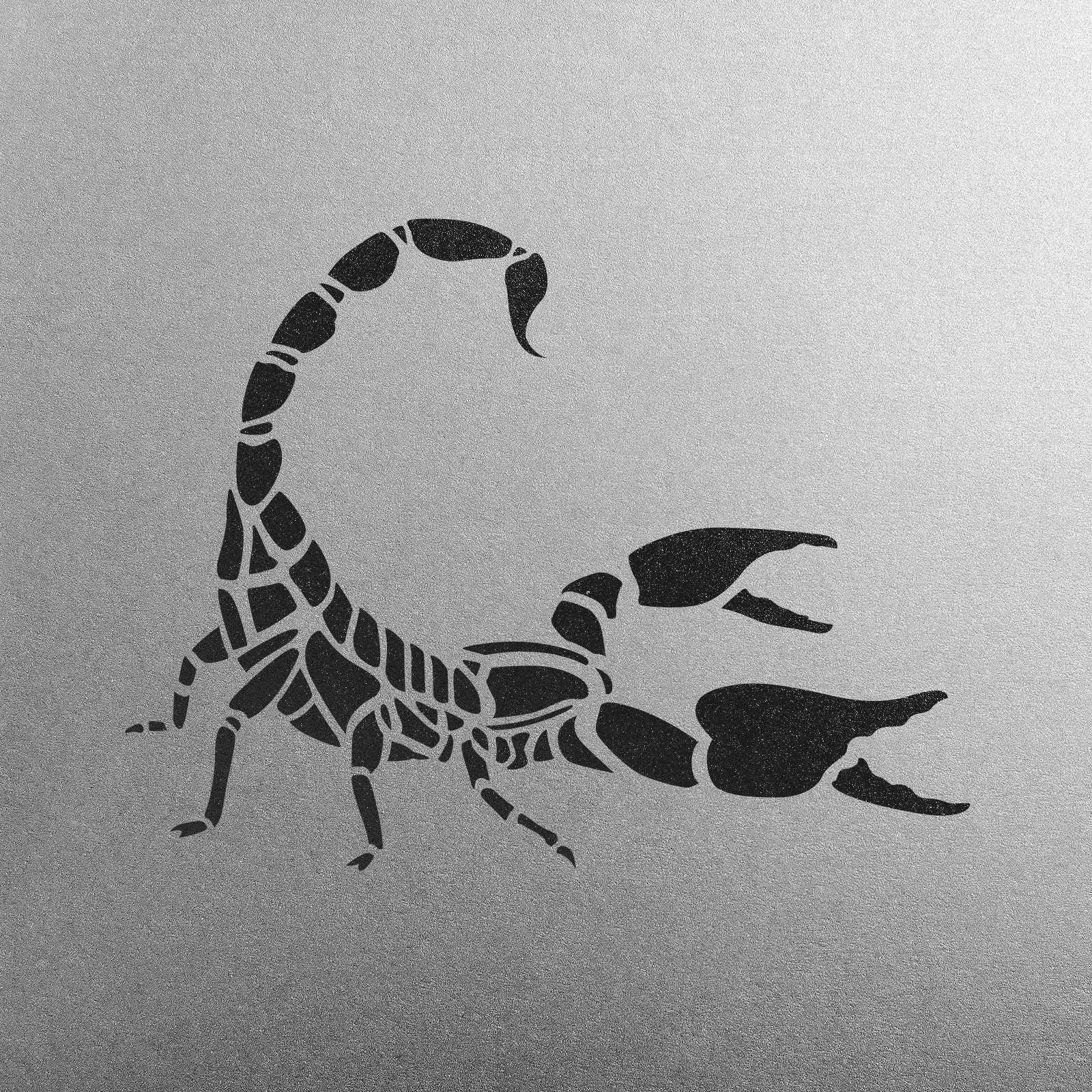 Scorpion Insect Wall Stencil – 13" X 13.3" Reusable Mylar Stencil For Painting, Wood, Fabric, DIY Decor