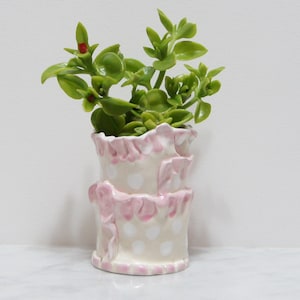 May include: A small potted plant with green leaves in a white ceramic planter with pink polka dots and ruffled edges.