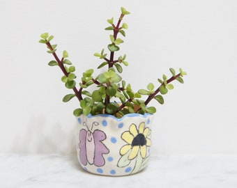 Butterfly Daisies  Clay Pot - Decorative Collectible Planter