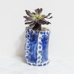 May include: A blue and white ceramic planter with a unique, textured design. The planter is filled with a succulent plant with dark green leaves.