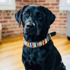 Handmade Beaded Dog Collar/Native Style Leather Pet Collar/Colorful Bohemian Puppy Necklace/Tribal Beaded Dog Accessor/Unique Pet Gift