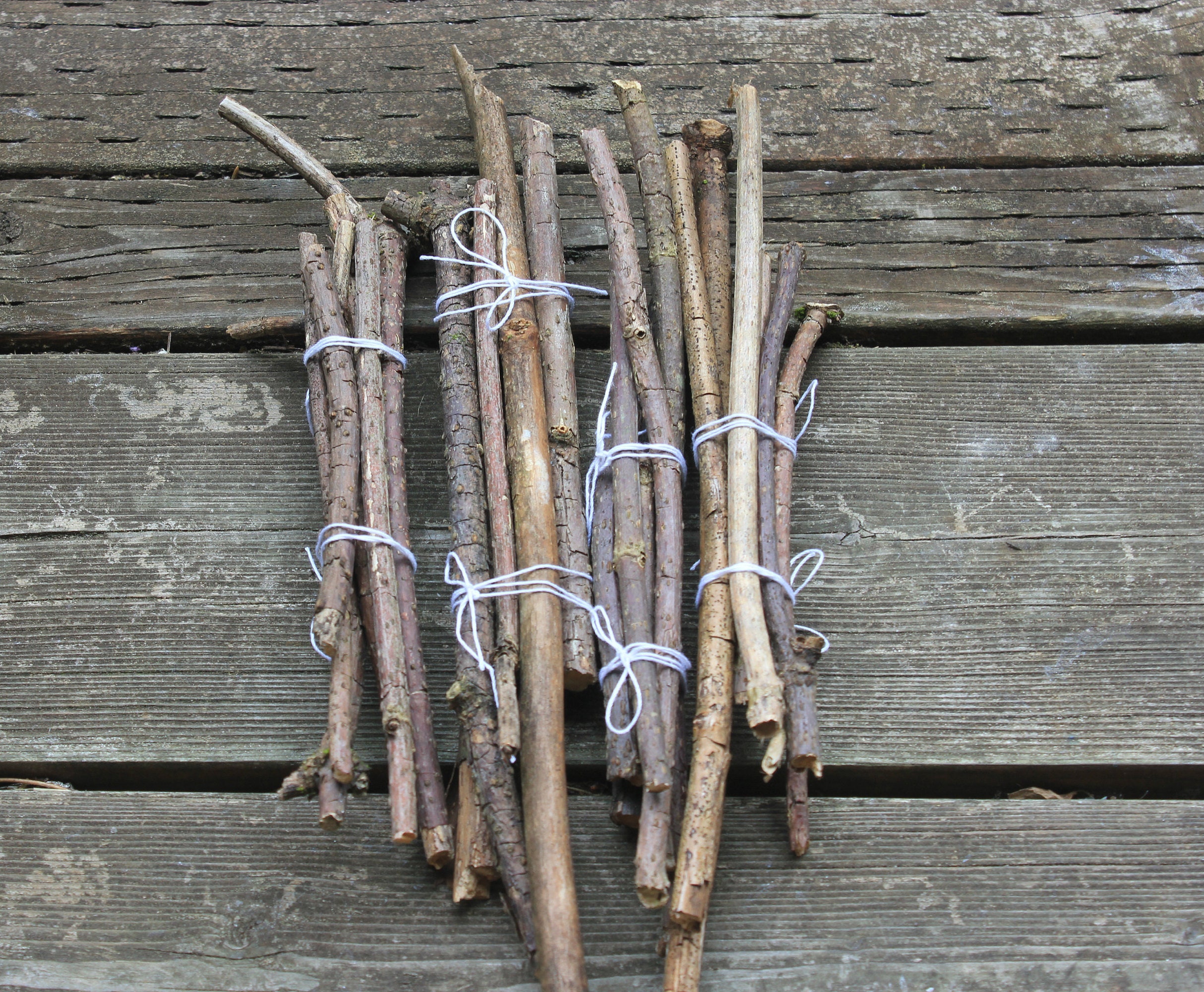 Elderberry Wood Twigs Etsy