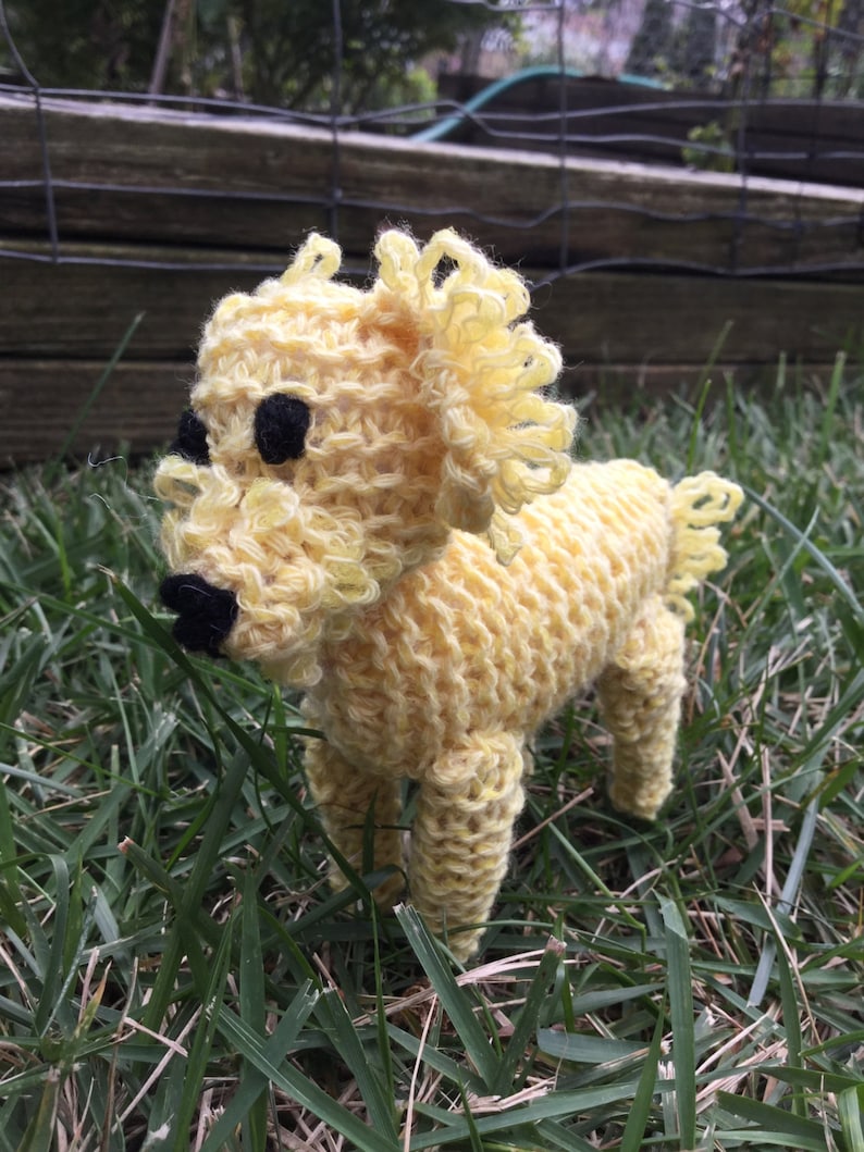 Knitted Labradoodle Puppy