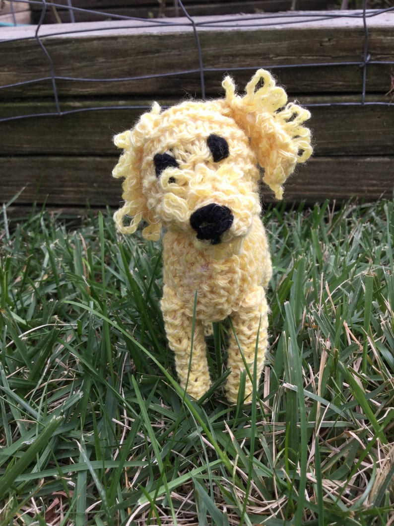 Knitted Labradoodle Puppy