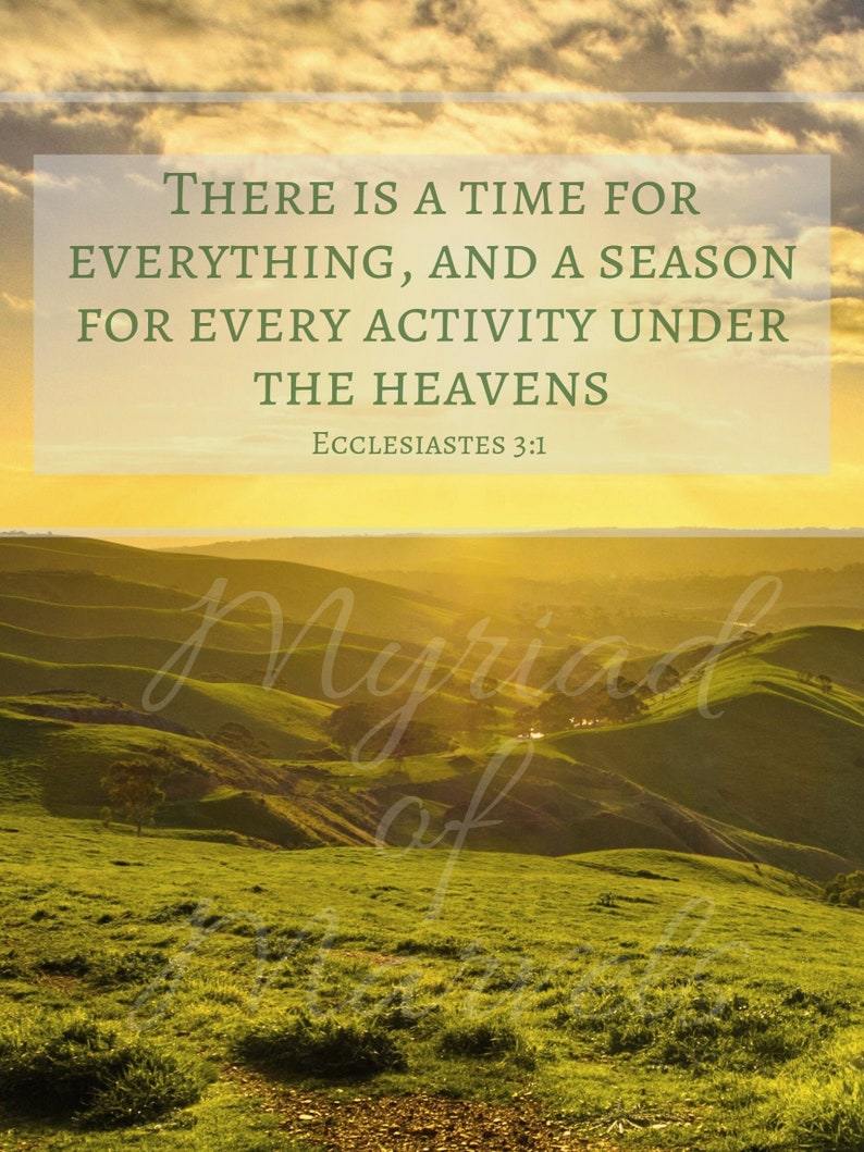 Ecclesiastes 3 Wall Art There is a Time For Everything A Etsy