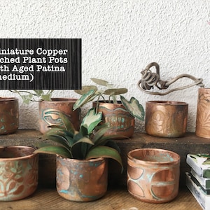 May include: A set of miniature copper etched plant pots with an aged patina finish. The pots are arranged on a wooden surface with a variety of plants and greenery.