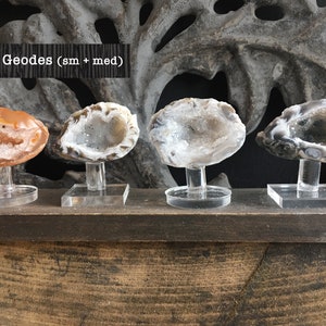 Könnte beinhalten: Vier Achat-Geoden auf klaren Acrylständern. Die Geoden sind in verschiedenen Größen und Farben, darunter Orange, Weiß und Grau. "Mini Geodes (sm + med)" steht auf einem schwarzen Banner über den Geoden.