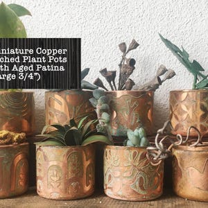 May include: Miniature copper etched plant pots with aged patina (large 3/4"). The pots are filled with small plants and have a rustic, vintage look.