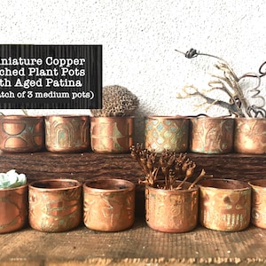 Peut inclure: Un ensemble de pots de plantes miniatures en cuivre gravé avec une patine vieillie. Les pots sont disposés en deux rangées sur une surface en bois. Les pots ont des motifs gravés différents. Pots de plantes miniatures en cuivre gravé avec une patine vieillie (lot de 3 pots moyens)
