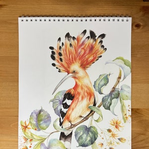 Illustrated calendar 2024 birds and flora. Fine art calendar. Art calendar. Watercolour calendar. Bird calendar. Flora Fauna. Wall calendar.