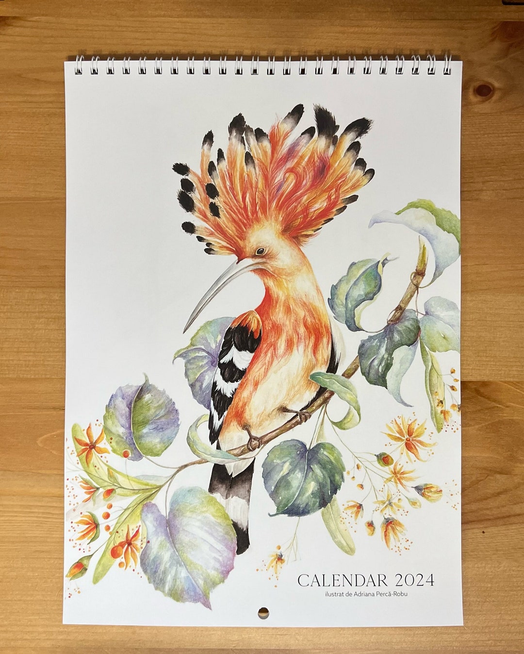 Illustrated Calendar 2024 Birds and Flora. Fine Art Calendar. Art