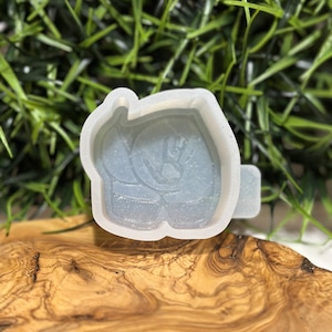Molde Freshie descarado