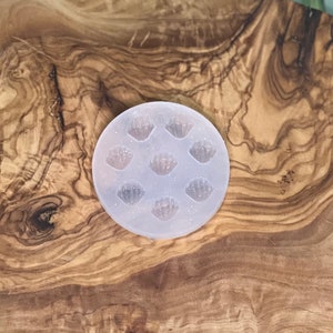 Puede incluir: Un molde de silicona transparente con ocho cavidades en forma de concha. El molde está sobre una superficie de madera.