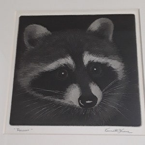 Signierte Original Aquatint Radierung von Waschbär, von Brown County, Indiana Artist Kenneth J Reeve