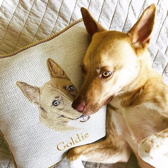 Nov 15 is Deadline for Christmas order. WITH NAME Made to Order, Custom Embroidered Pet Portrait Pillows