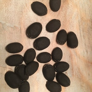 Luffa Seeds
