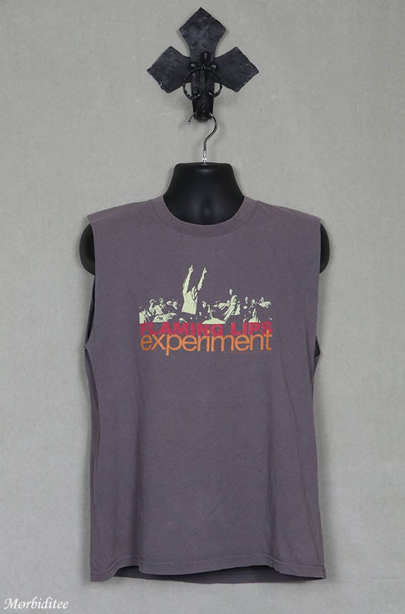 Flaming Lips vintage rare T-shirt, gray tee shirt,