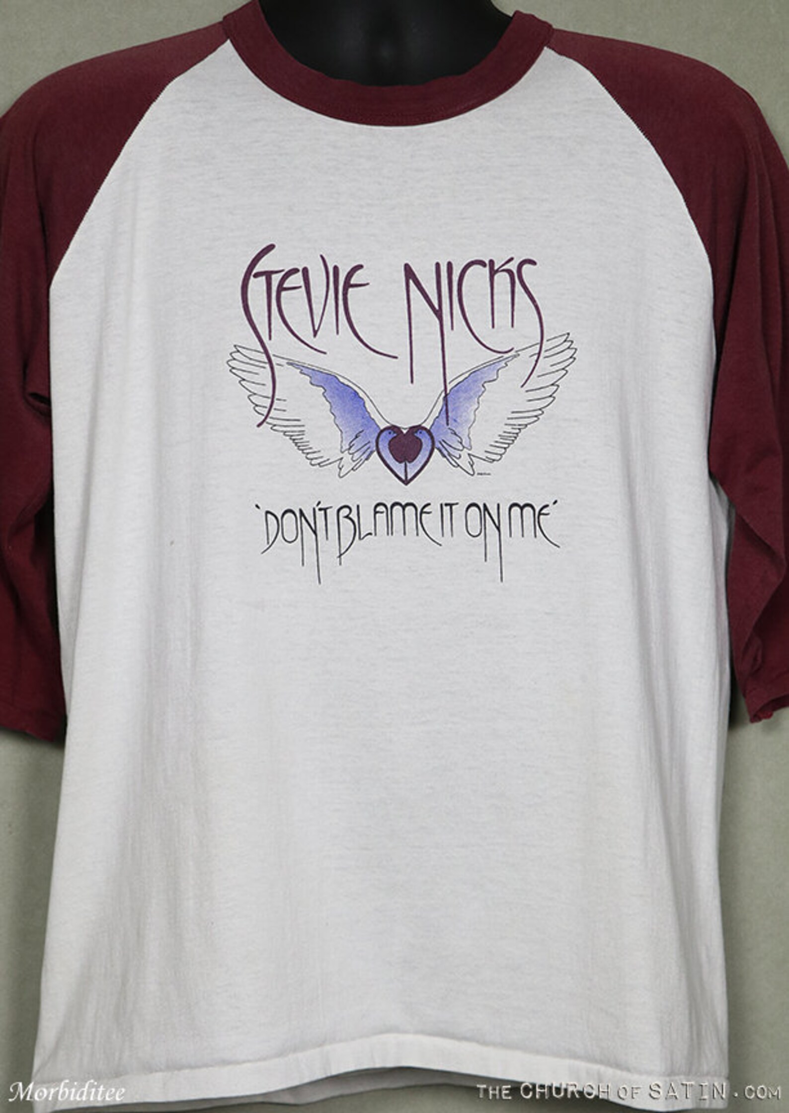 Stevie Nicks concert tour shirt Fleetwood Mac tshirt Wild Etsy