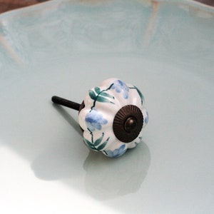 May include: White ceramic knob with a blue and green floral design and a brass screw. The knob is on a light blue background.
