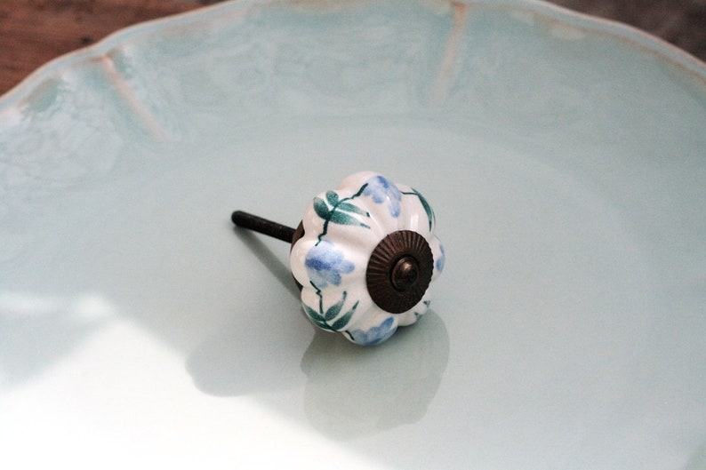 May include: White ceramic knob with a blue and green floral design and a brass screw. The knob is on a light blue background.