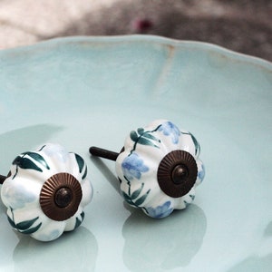 May include: Two white ceramic cabinet knobs with blue and green floral designs and brass accents. The knobs are on a light blue plate.