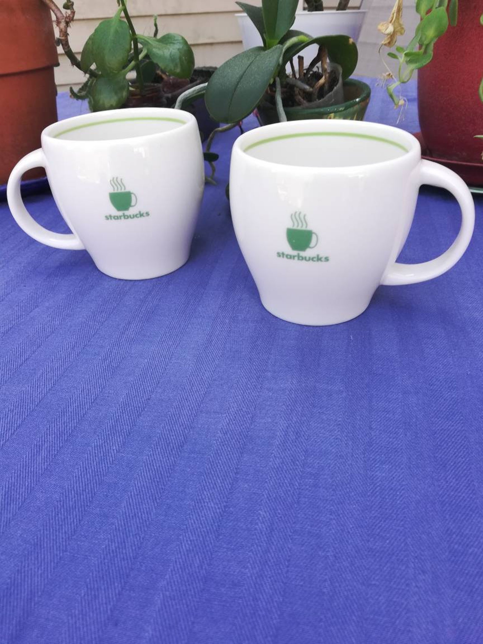 Starbucks Green Barista Coffee Mugs Set of Two plus Green | Etsy