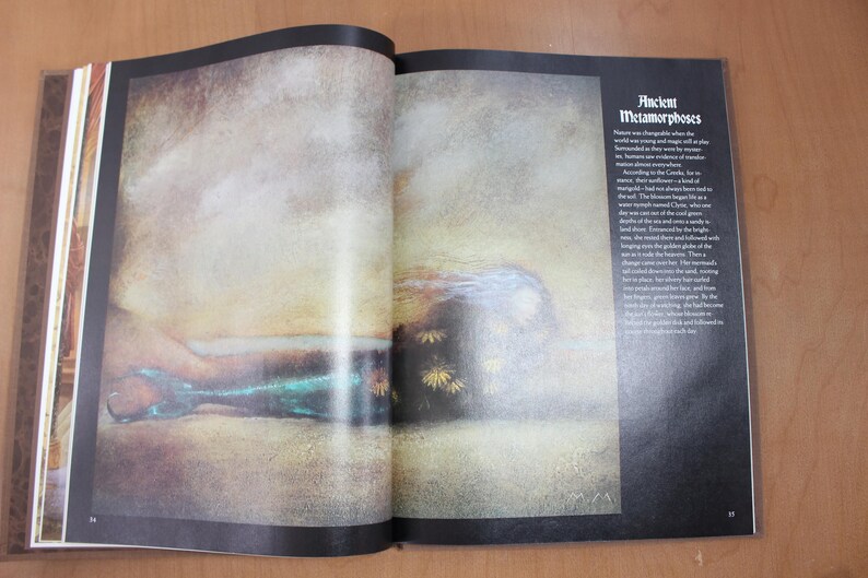 Vintage spreuken en bindingen Time-Life Book: Enchanted World Series, eerste editie afbeelding 6