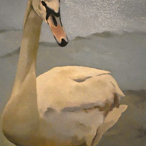 Swan original 11x14 oil painting on Linen canvas