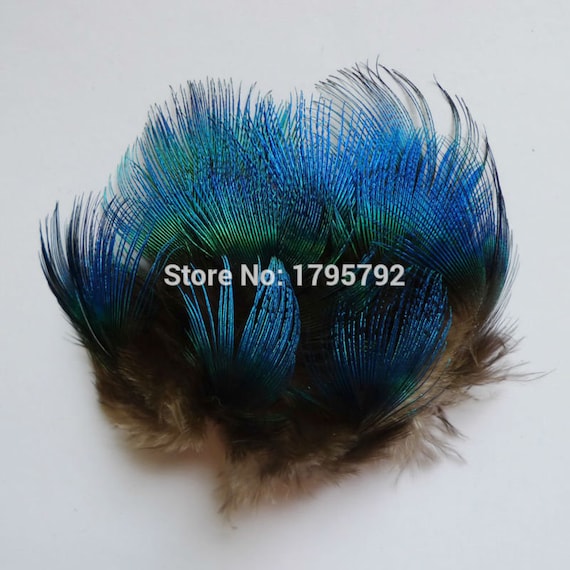 20 50 Pcs 3 6cm Natural Peacock Blue Body Plumage Feathers Etsy