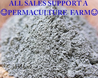 Cambrian Blue Clay Etsy