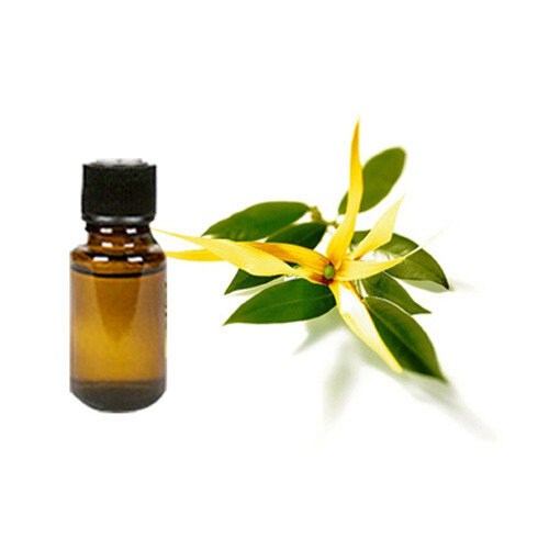 Ylang Ylang Complete Essential Oil 1,2,3,4,5,6,8,12,16 oz lb Samples …