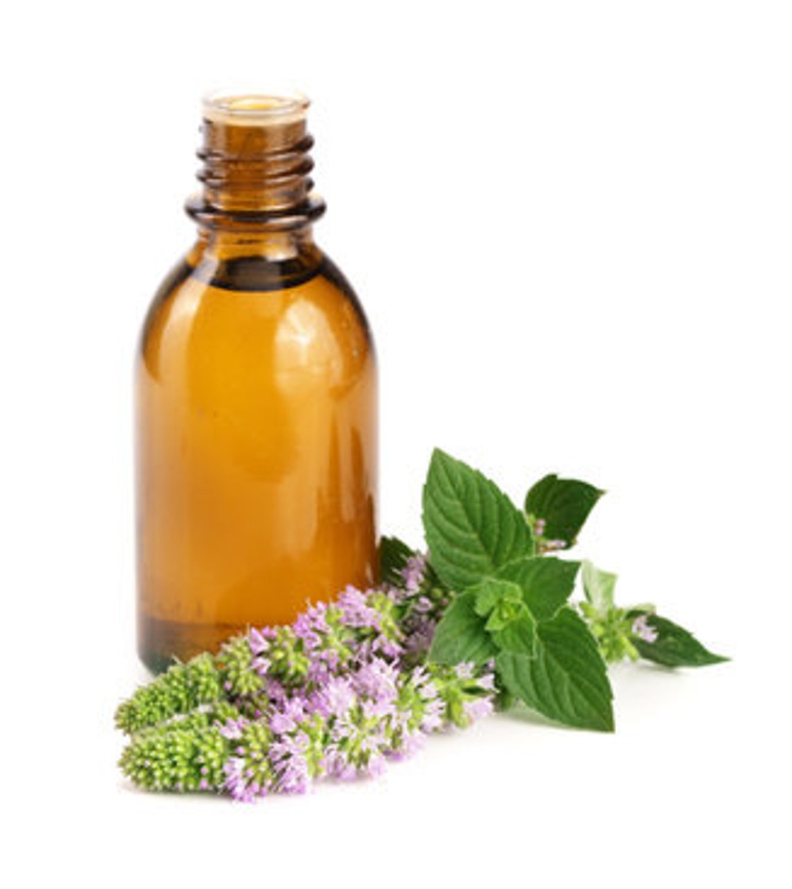 Peppermint Oil mentha Arvensis Essential Oil Steam Distilled Etsy