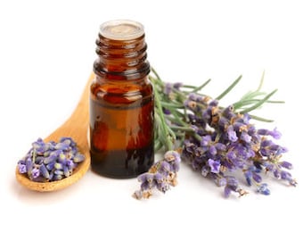 Lavender Essential Oil Kashmir/High Altitude or 40/42 FREE SHIPPING 1/2,1,2,4oz