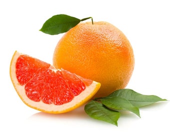 fresh collected from the fruit 10 Grapefruit seeds fresh collected from the fruit 10 Grapefruit seeds