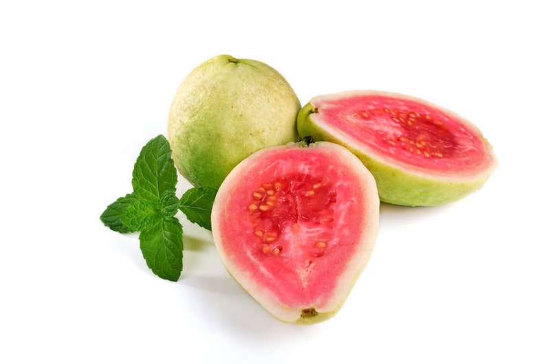 Guava Botanical Glycerin Extract (Water Soluble) Guava Botanical Glycerin Extract (Water Soluble)