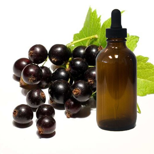 Black Currant Seed Oil Cold Pressed Wild Harvest - Etsy Canada Black Currant Seed Oil Cold Pressed Wild Harvest - Etsy Canada