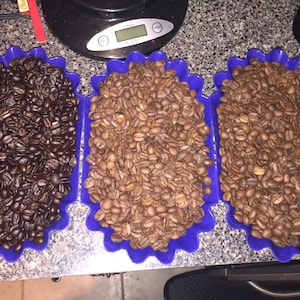 May include: Three blue trays filled with coffee beans. The tray on the left contains dark roasted beans, the middle tray contains medium roasted beans, and the tray on the right contains light roasted beans.