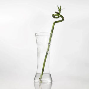Handmade Engraved Blown Glass Vase: Modern Art Decor