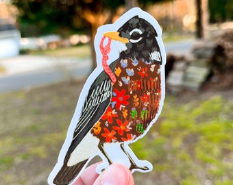 Robin Sticker, birding stickers, robin bird gift, bird vinyl sticker, spring stickers, spring time sticker, happy spring sticker, bird lover