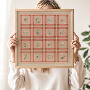 May include: A framed artwork featuring a grid of seashell illustrations. The artwork has a light wood frame and a pink and beige plaid background. Each square contains a different seashell design, rendered in soft, muted tones.