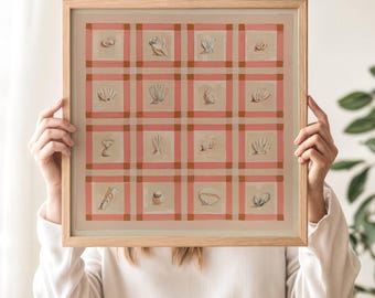 Pink Sea Shell Art Print, grandmacore home decor, coastal granddaughter, coastal decor, framed quilt squares, coastal cottage, cottagecore