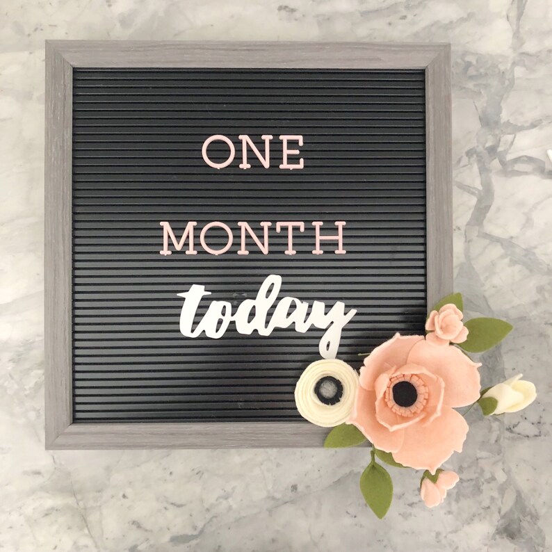 Felt Board Flowers Felt Board Accessories Felt Board Office Etsy