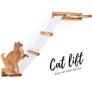 May include: A white cat climbing a wooden cat lift with the text "Cat lift run up and relax".