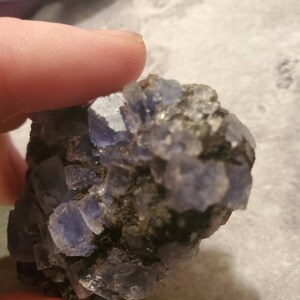 May include: A cluster of blue and purple fluorite crystals. The crystals have a cubic structure and are set against a dark matrix. The mineral is held by a person's fingers.
