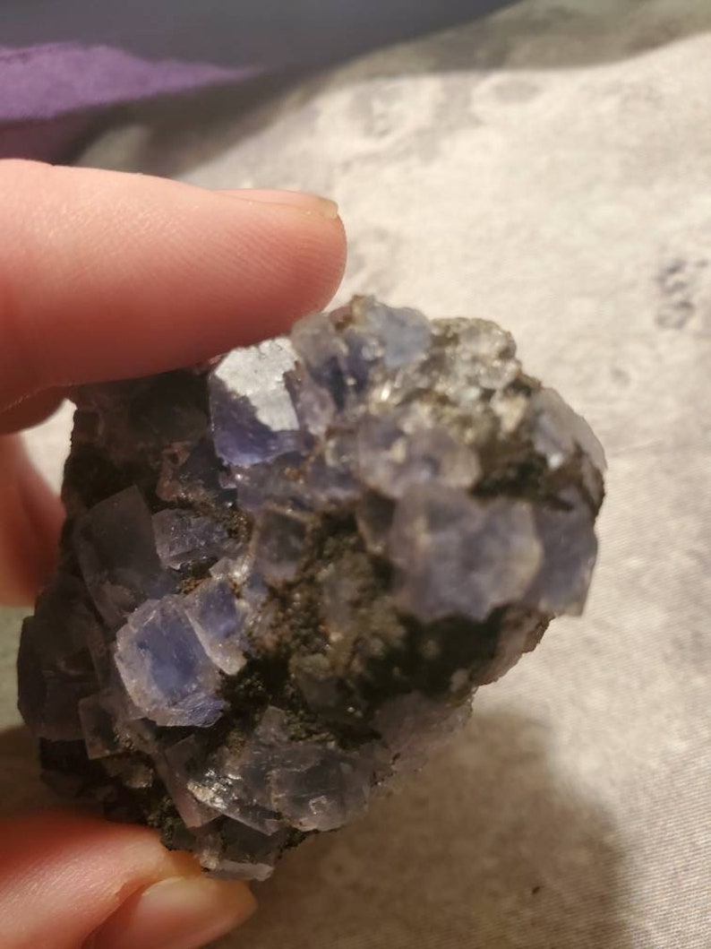 May include: A cluster of blue and purple fluorite crystals. The crystals have a cubic structure and are set against a dark matrix. The mineral is held by a person's fingers.