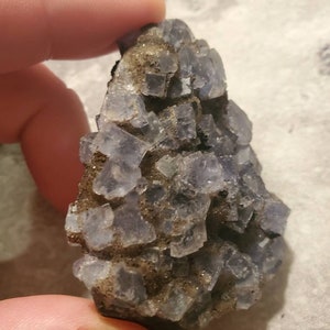 May include: A cluster of light purple fluorite crystals with a cubic structure. The crystals are set in a matrix of brown and gray rock. The image is a close-up, highlighting the mineral's texture and color.