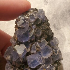 May include: A cluster of blue-purple fluorite crystals. The crystals have a cubic shape and are set against a dark matrix. The image shows the natural formation of the mineral, with varying shades of blue and purple.