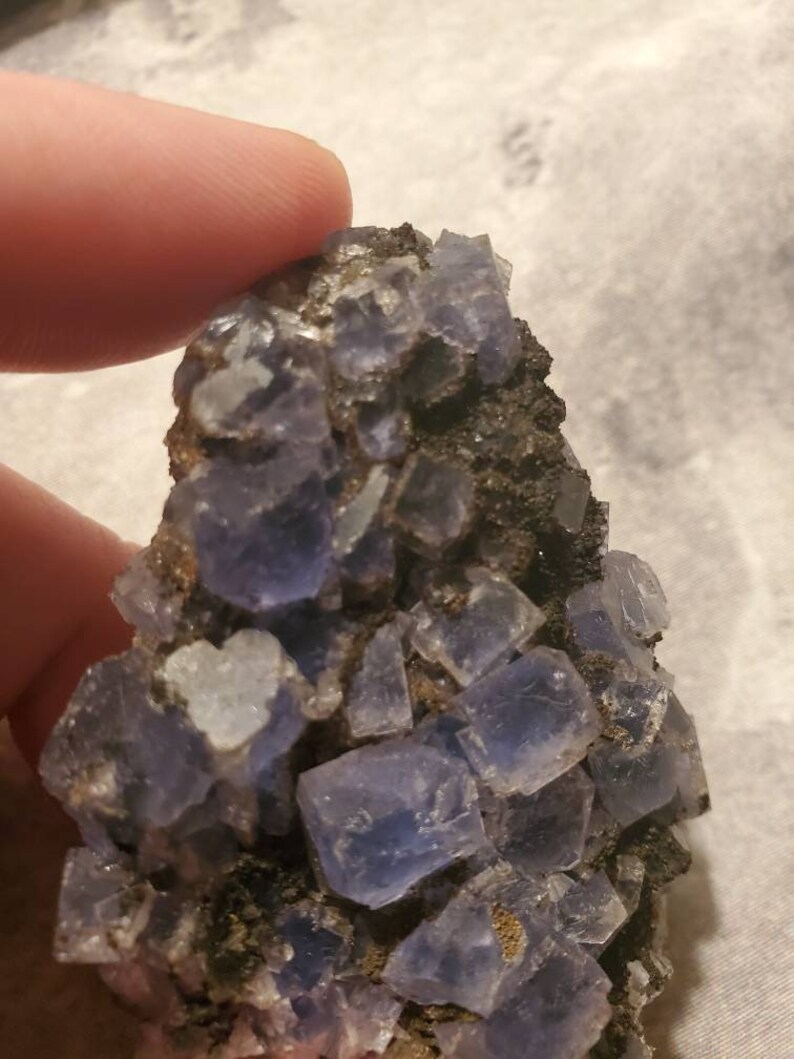 May include: A cluster of blue-purple fluorite crystals. The crystals have a cubic shape and are set against a dark matrix. The image shows the natural formation of the mineral, with varying shades of blue and purple.