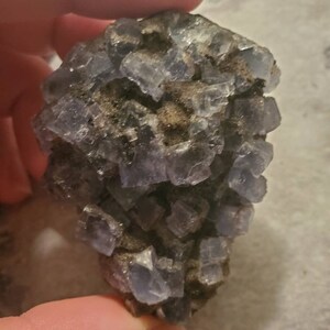 May include: A cluster of blue-purple fluorite crystals with a cubic structure. The crystals are partially embedded in a dark matrix, creating a contrast of colors and textures. The mineral specimen is held in a hand.